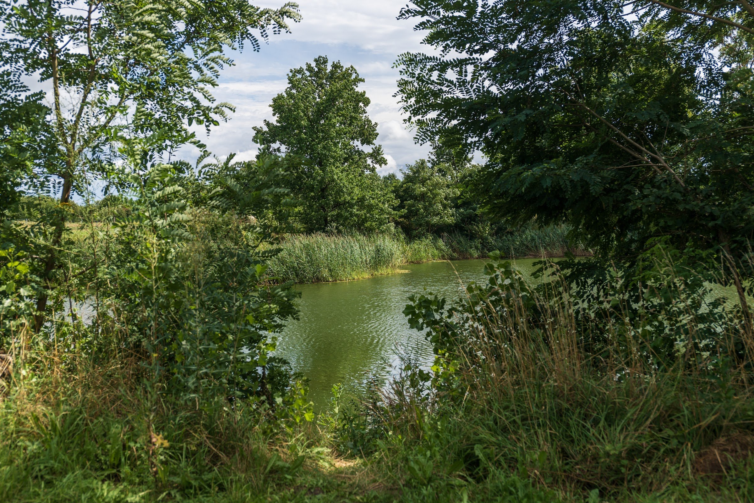 Auto Camp Lasoki (Auto Camping Lasoki, Kędzierzyn‑Koźle)
